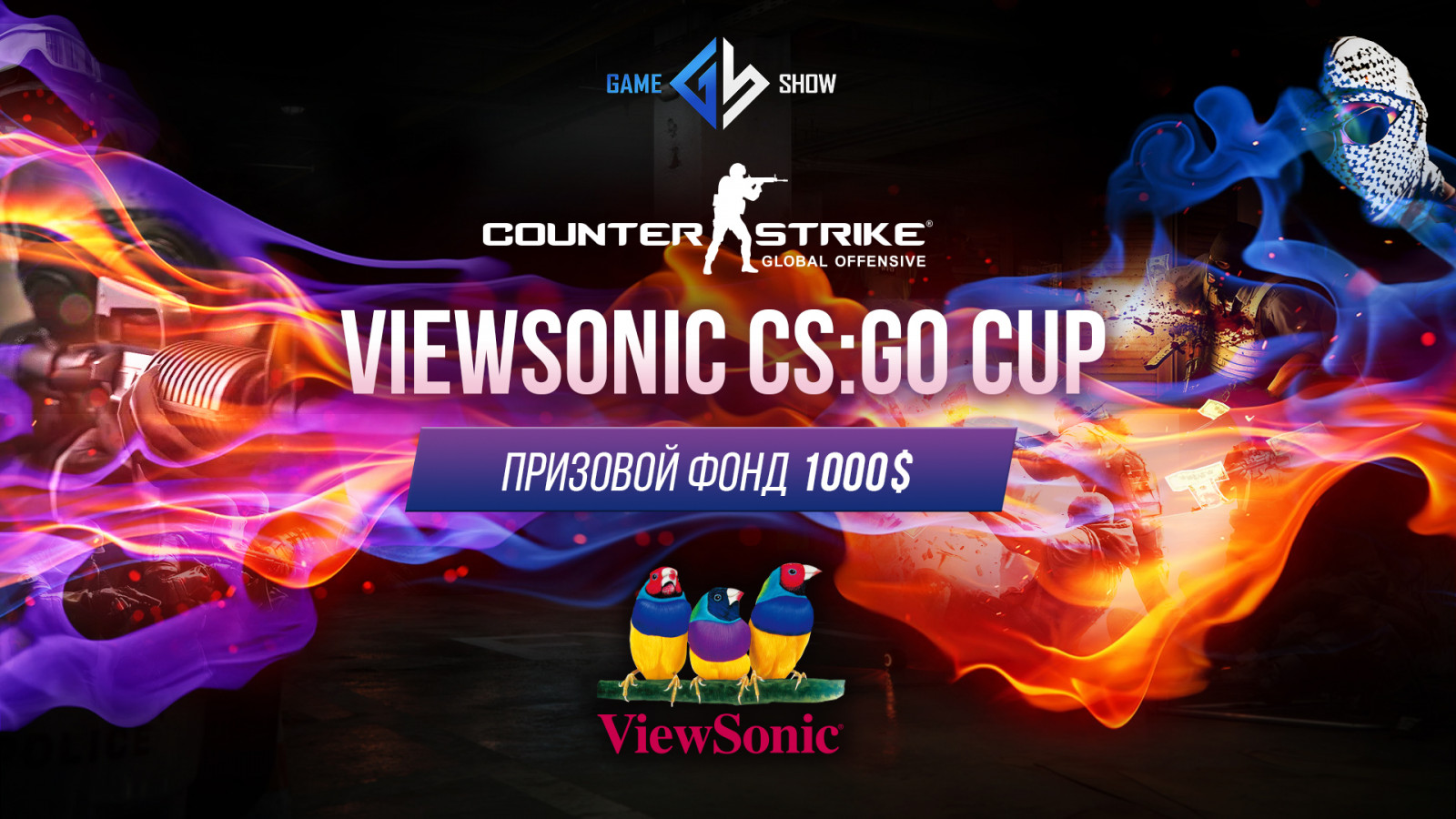 Game show. VIEWSONIC CS go.