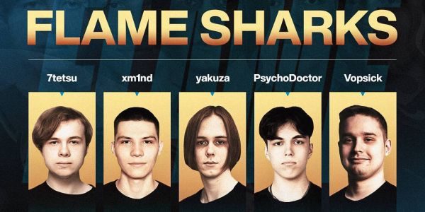 flamie's organization announces CS2 roster